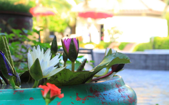 The Beach Garden Resort
