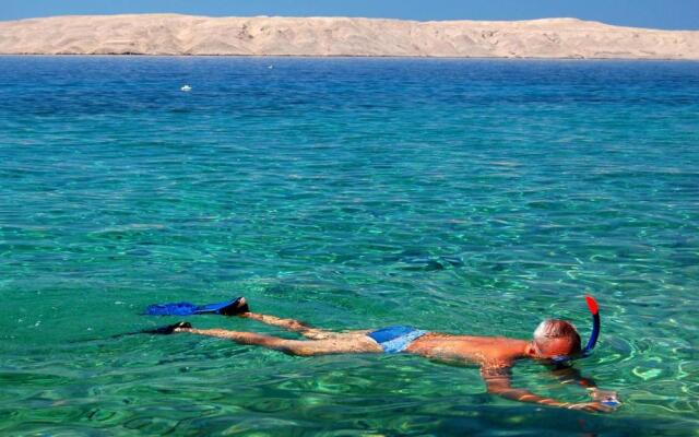 Olive Mobile Home Terra Park SpiritoS