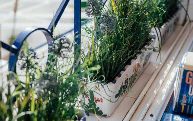 Stunning 2 bedroom apartment with Pool View