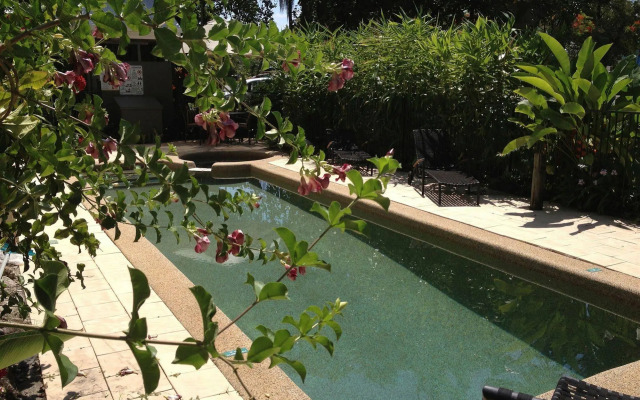 Port Douglas Apartments - Adults Only Oasis