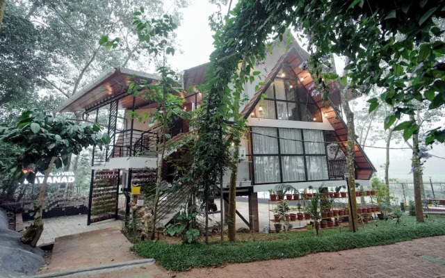 Wayanad Vista Palm View Homes