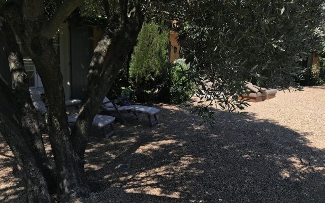 B&B Wineyard Pampelonne