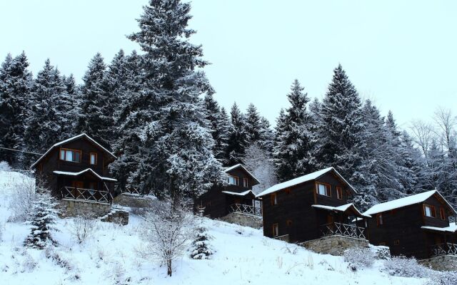 Zitas Zigana Holiday Resort