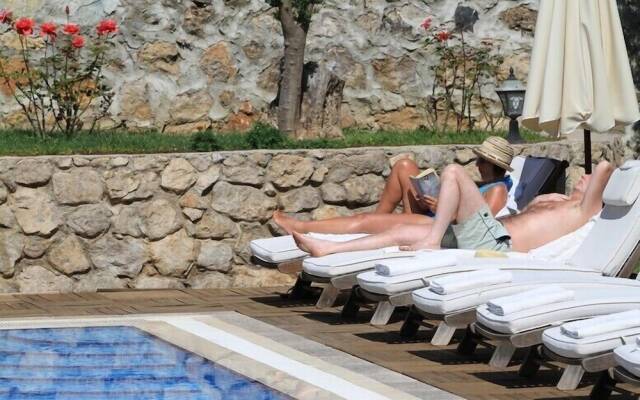 The Olive Tree Studios - Adults Only