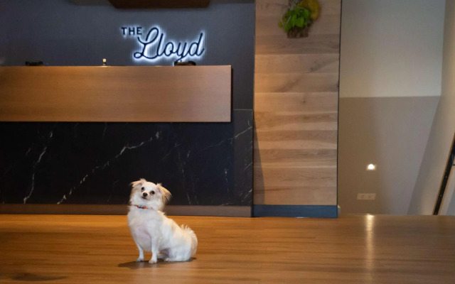 The Lloyd Stamford, Tapestry Collection by Hilton