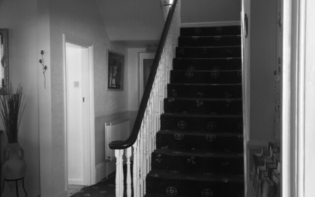 The Fernside
