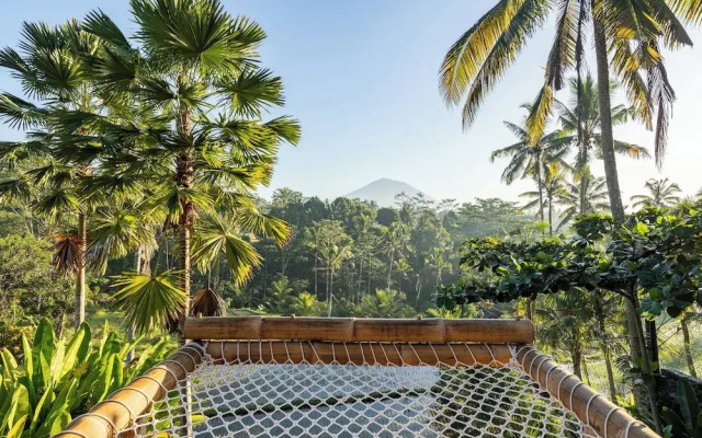 Eco Six Bali