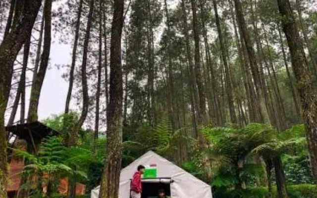 Kampung Rimba by Anrha