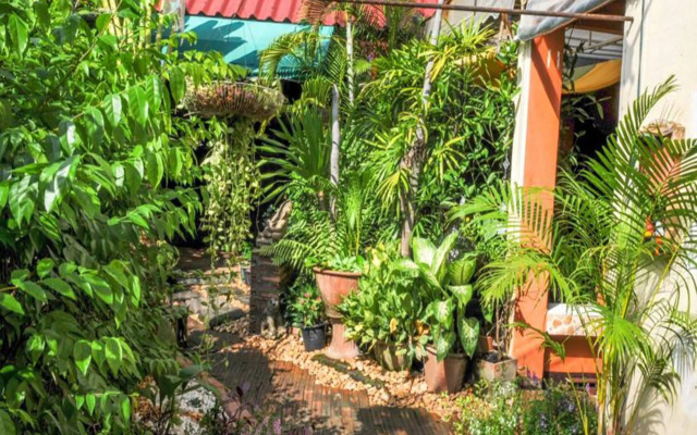 All In 1 Guesthouse Chiang Mai