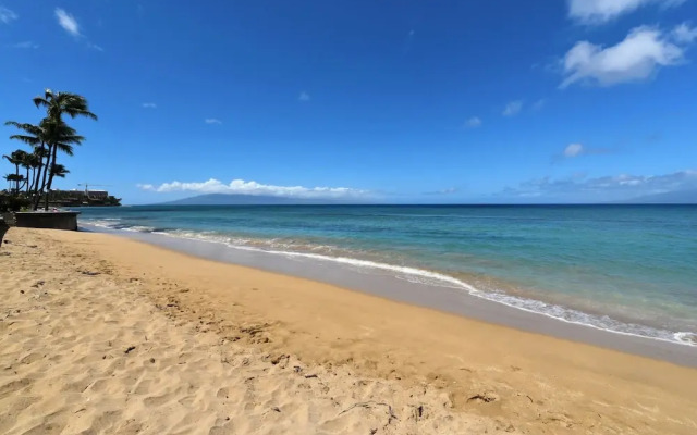 Kaleialoha 211