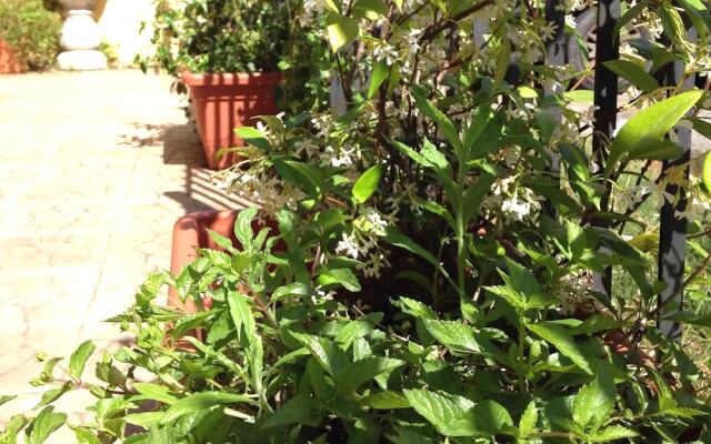 Sullavia delle cinque terre Apartment