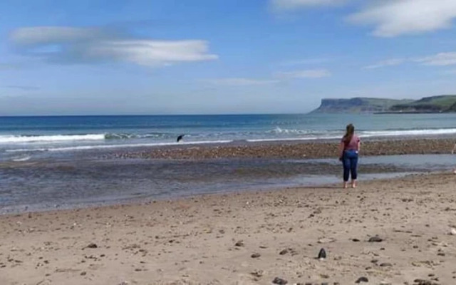 Prime Ballycastle Apartment