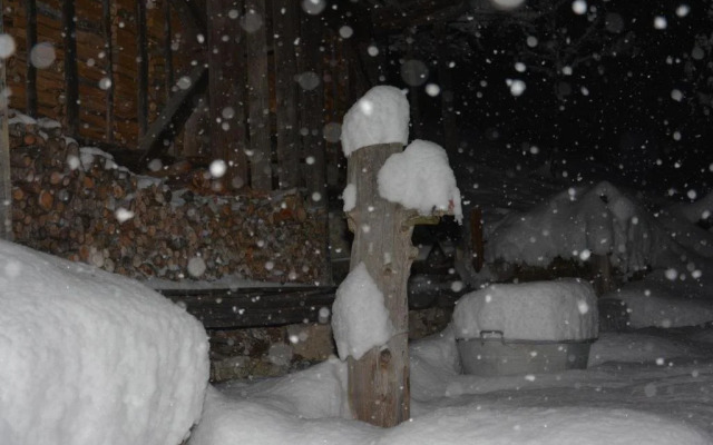 Riegergut - Inh 29569