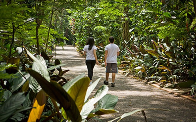 Bourbon Thermas Eco Resort Cataratas do Iguaçu