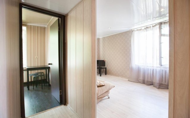 Busines Brusnika Apartment Babushkiskaya 1