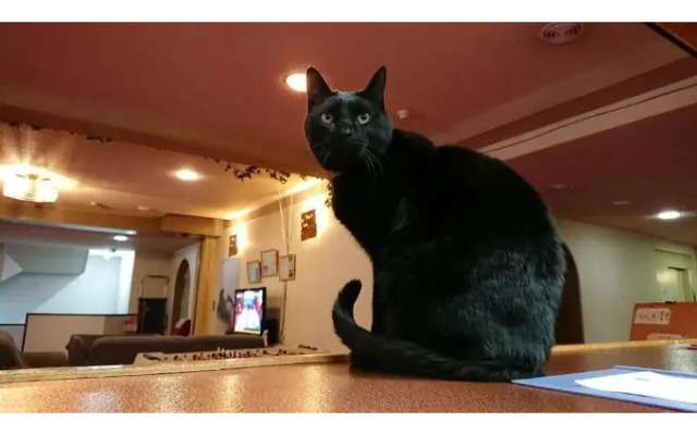 Sports Hotel SILVER SHIGA