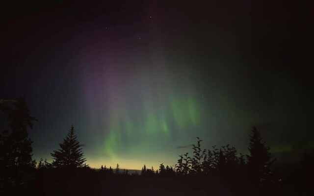 Blue Spruce Apartment