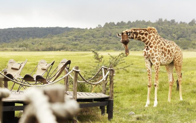 Hatari Lodge