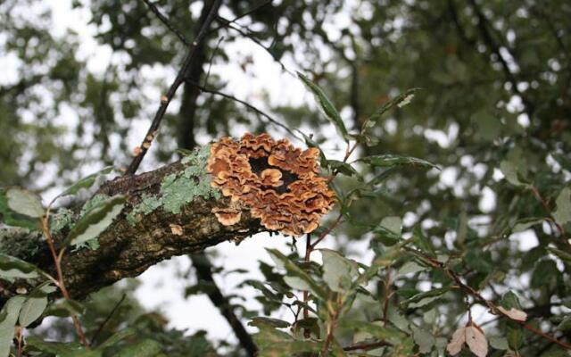 Refugio De La Rabaza