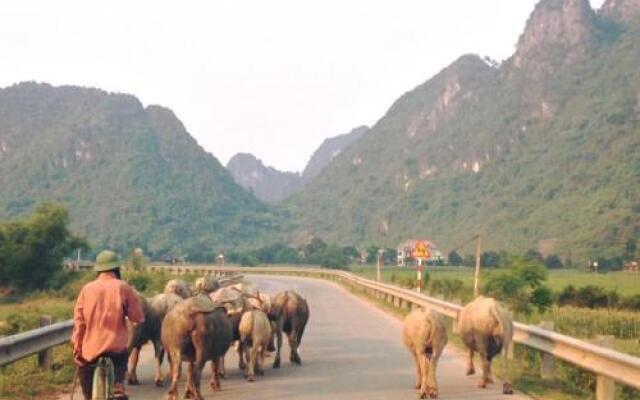 Phong Nha Midtown Hotel