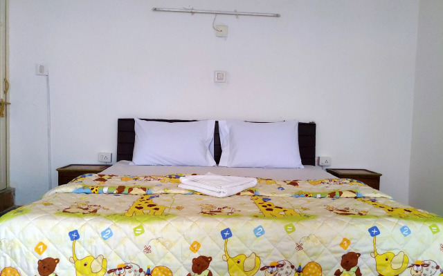 Dreamyard Udaipur - Hostel