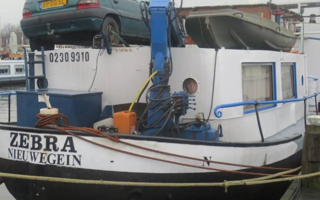 Botel Zebra