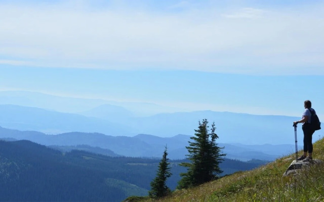 Echo Landing #31 by Bear Country