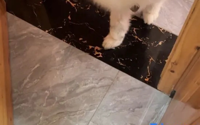 Wuyuan Mingquan Shanshu Homestay (Guangling Scenic Area)