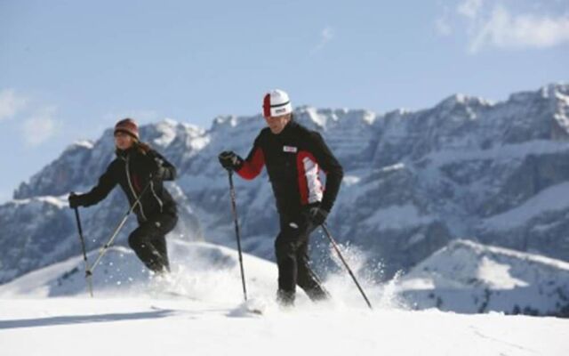 Alpin Stile Hotel
