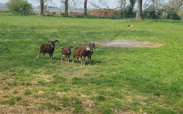 Le Blockhaus de Domléger