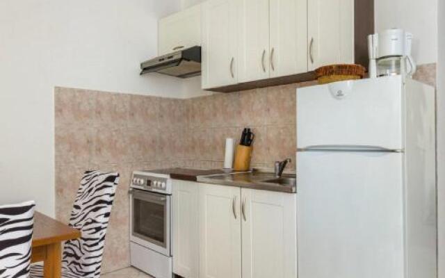Apartment Roko