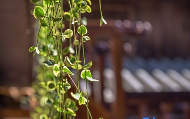 Chuniaochao Boutique Vacation Inn