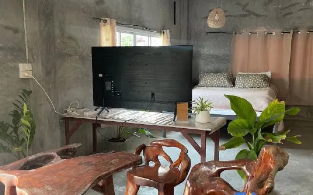 Tiny Loft Style House