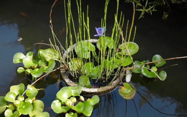 Puri Raya Villa Ubud