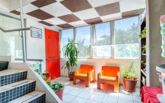 My Suite Ejecutivas