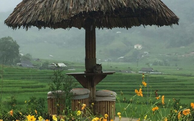 Golden Rice Garden Sapa