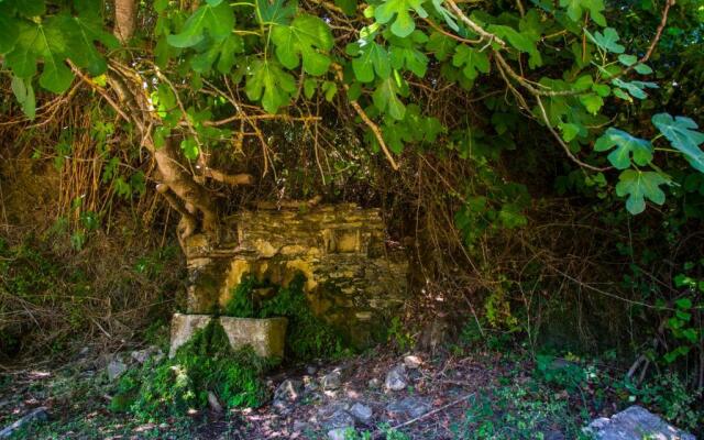 Iris' Traditional Stone House