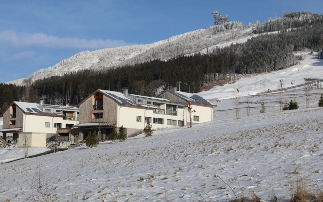 Villa in Dolni Morava Near Ski Slopes