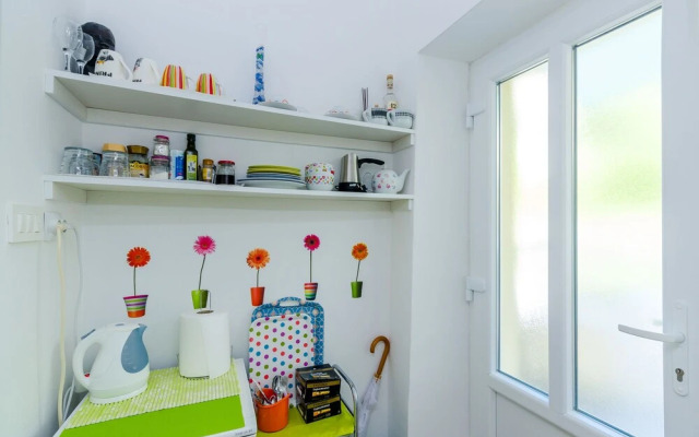 Room Mimi