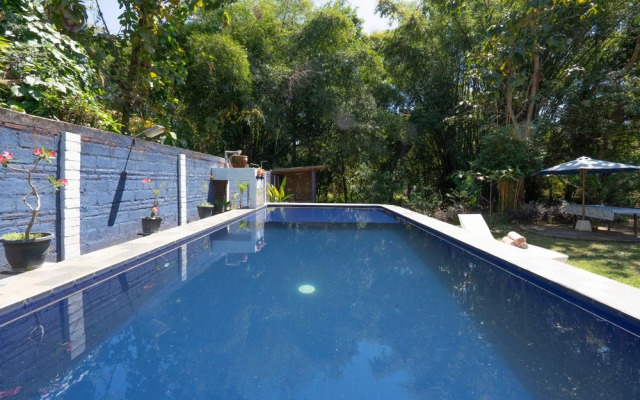 Calm Haven Villa with Amabela Garden Lovina Mitra RedDoorz