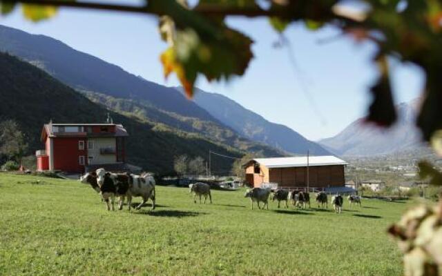 Agriturismo Stella Orobica