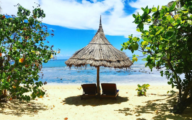 Octopus Resort