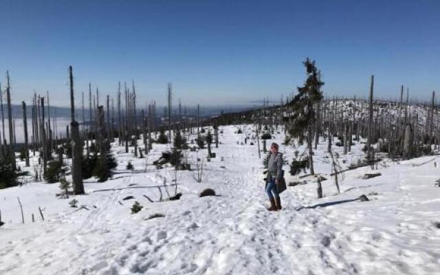 Landurlaub bei Familie Haug