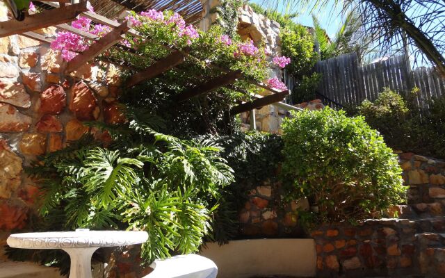 African Violet Guest Suites