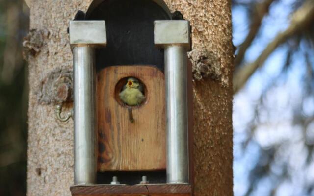 Apartment am Nationalpark Bayerwald