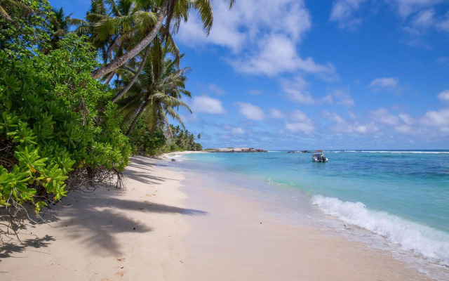 Chalets D'Anse Forbans