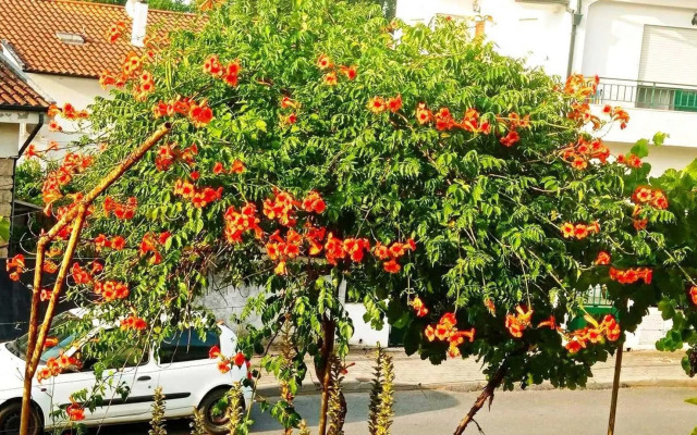 Stunning House in Mirandela Ideal for 10 People