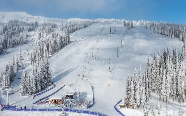 Bear's Paw Chalet - Amazing Location & Ski In/out