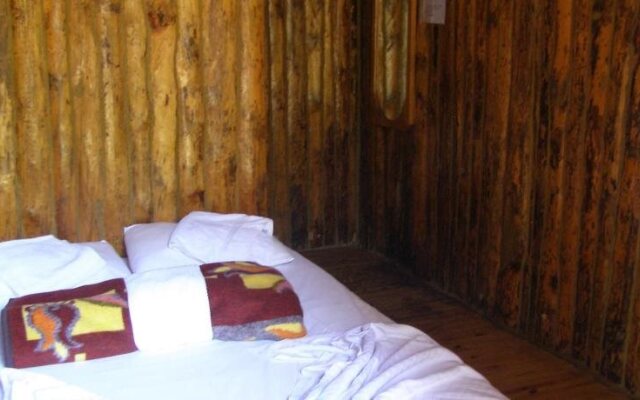 Jungle Bells Hostel