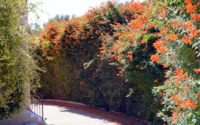 Thea Thalassa Villas